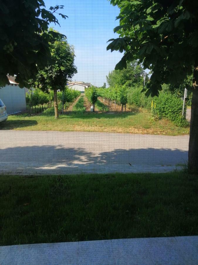 Campingblick-Gaestehaus-Ferienwohnungen Podersdorf am See Zewnętrze zdjęcie