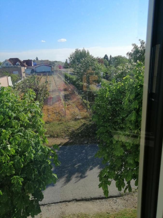Campingblick-Gaestehaus-Ferienwohnungen Podersdorf am See Zewnętrze zdjęcie